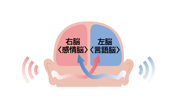両耳画像